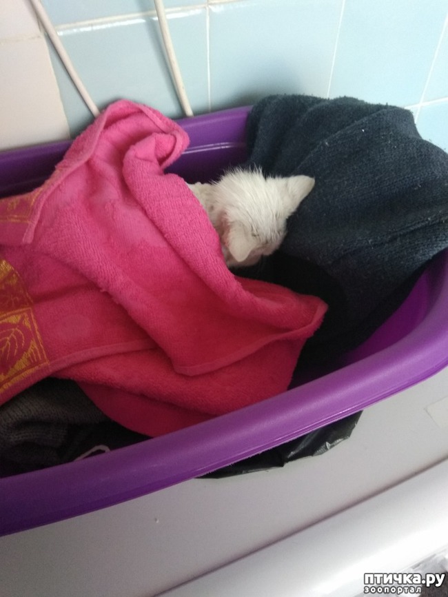 ���� 5: ��� � ��� ������?