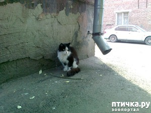 ����: ����� ����� | ���� ����