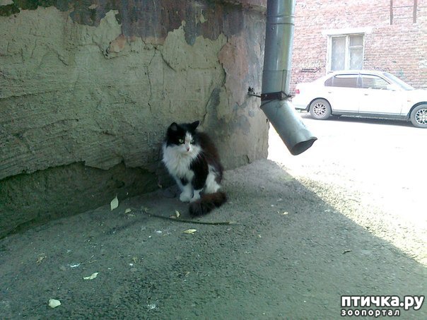 ���� 1: ����� ����� | ���� ����