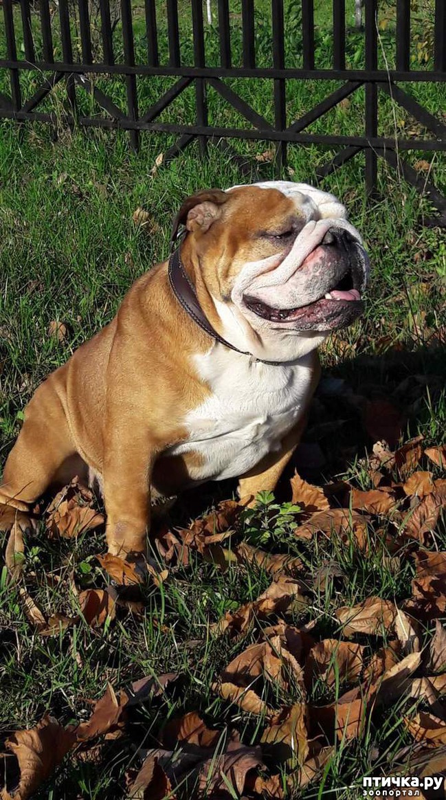 ���� 1: �����