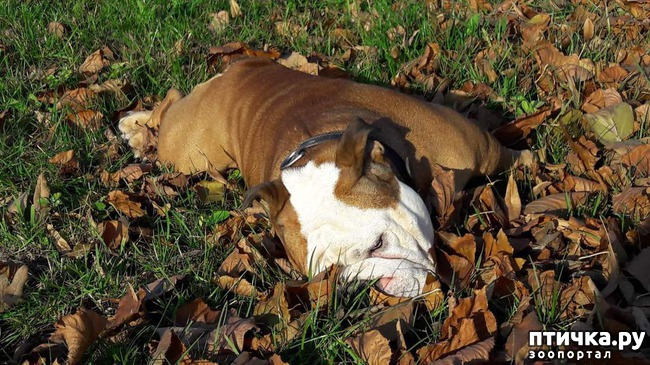 ���� 2: �����