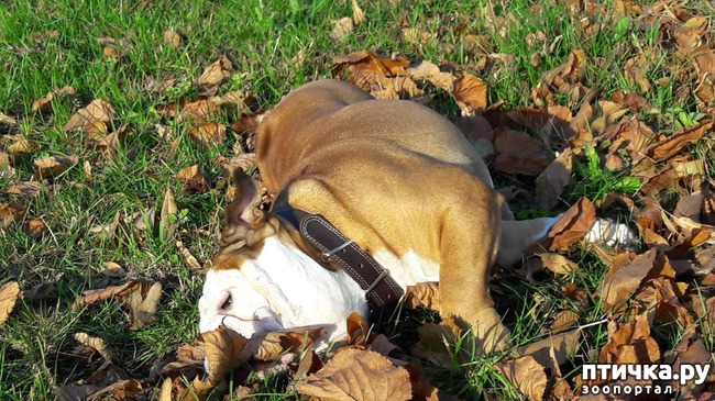 ���� 4: �����