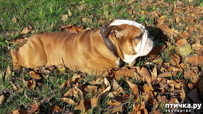 ���� 3: �����