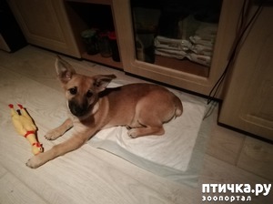 ����: �������� ���������� ������ ������ ������.