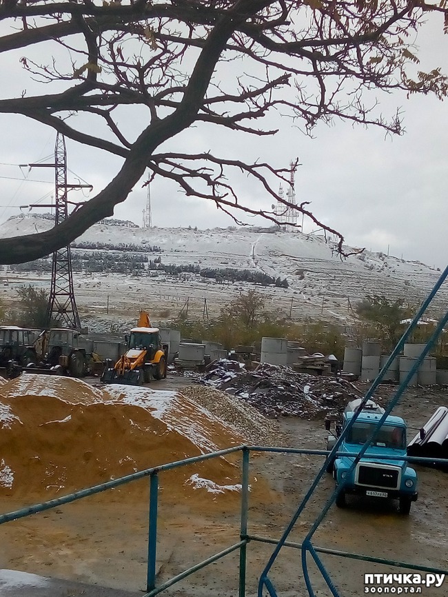 ���� 2: ������ ����. ��������