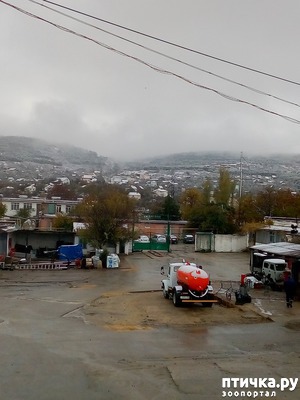 ����: ������ ����. ��������