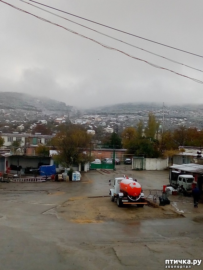 ���� 1: ������ ����. ��������