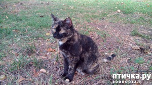 ����: ����� ��� �����