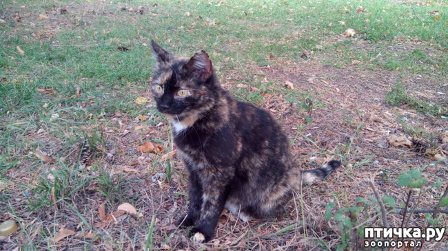 ���� 1: ����� ��� �����