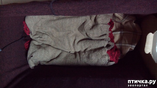 ���� 8: ����� ��� �����