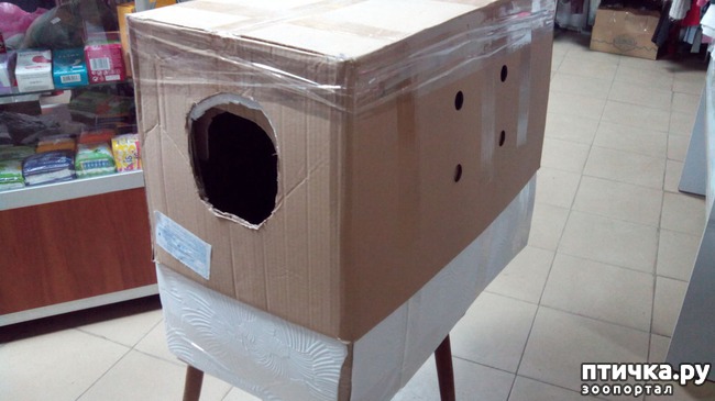 ���� 9: ����� ��� �����