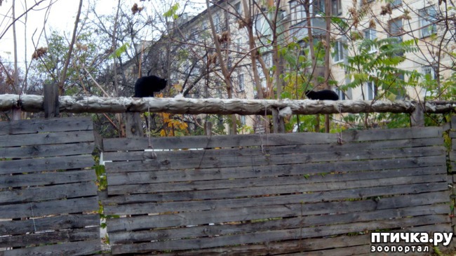 ���� 2: ����� ��� �����