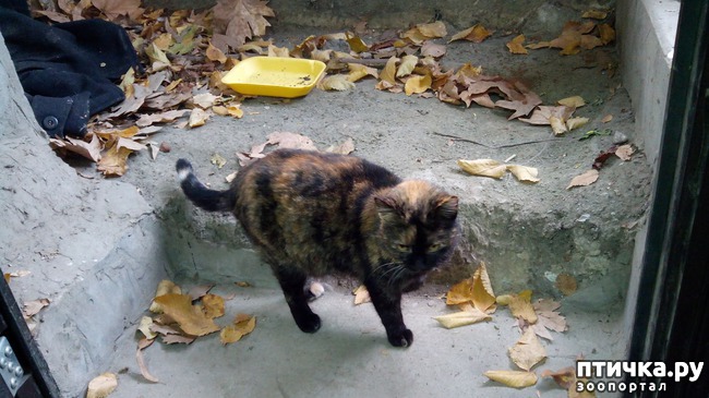 ���� 11: ����� ��� �����