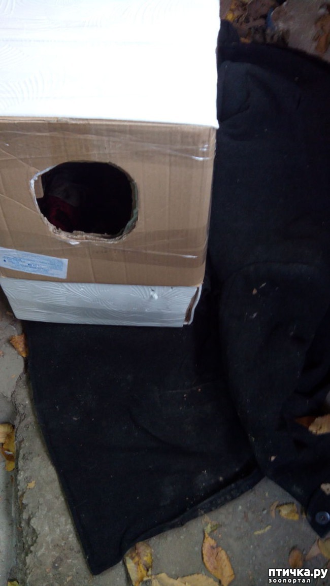 ���� 10: ����� ��� �����