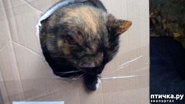 ���� 12: ����� ��� �����