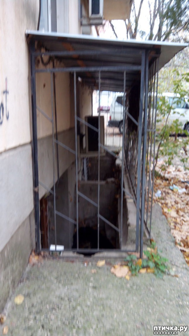 ���� 3: ����� ��� �����