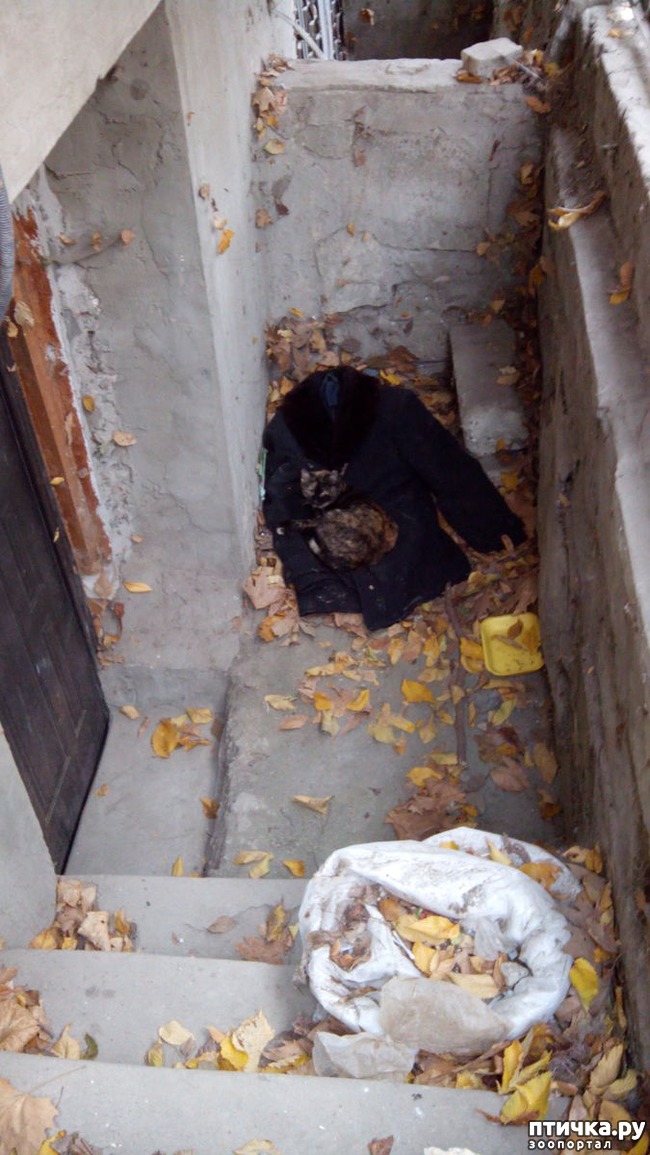 ���� 4: ����� ��� �����