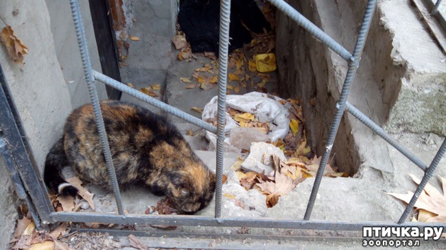 ���� 5: ����� ��� �����