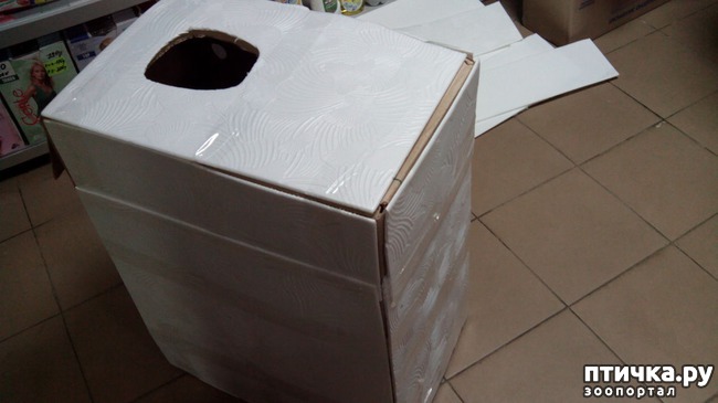 ���� 6: ����� ��� �����