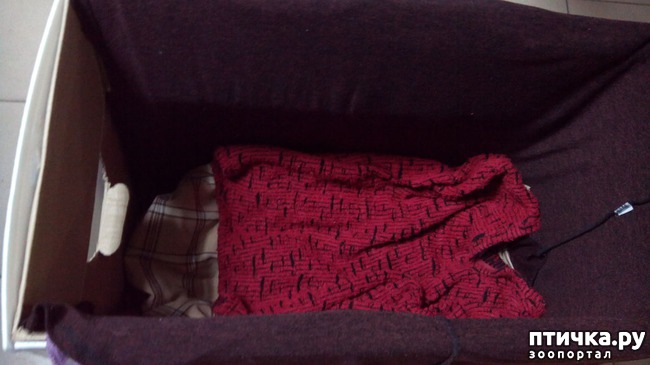 ���� 7: ����� ��� �����