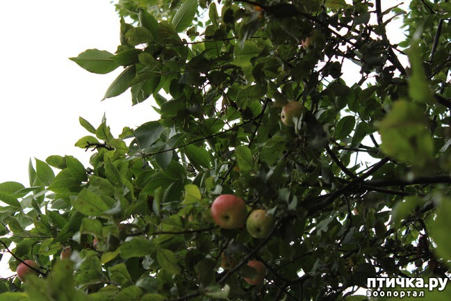 ���� 1: ��������� �����.