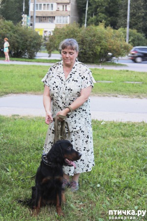 ����: ����� ������: �������� SOS!!!