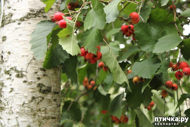 ���� 4: ��������� �����.