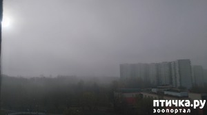 ����: ������� ������.