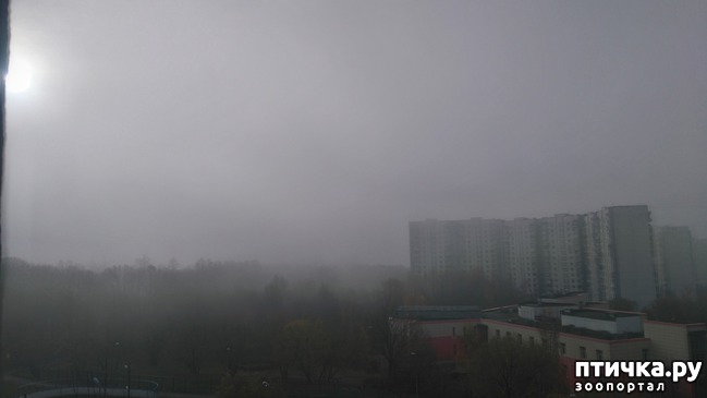 ���� 1: ������� ������.