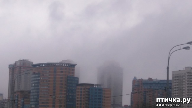 ���� 4: ������� ������.