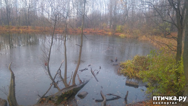 ���� 5: ������� ������.