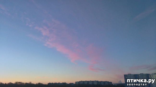 ���� 6: ������� ������.