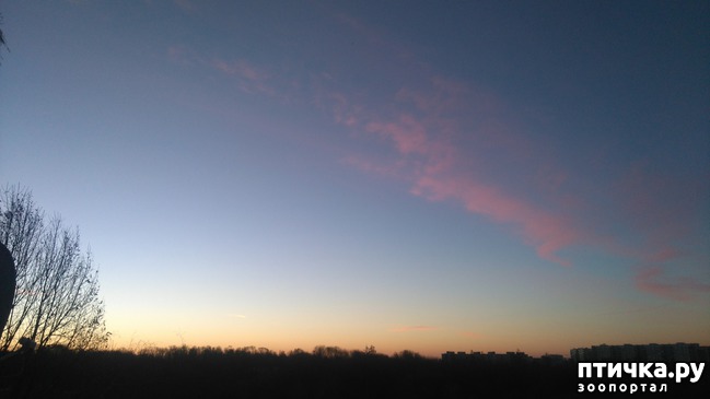 ���� 7: ������� ������.