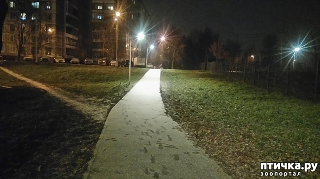 ���� 8: ������� ������.