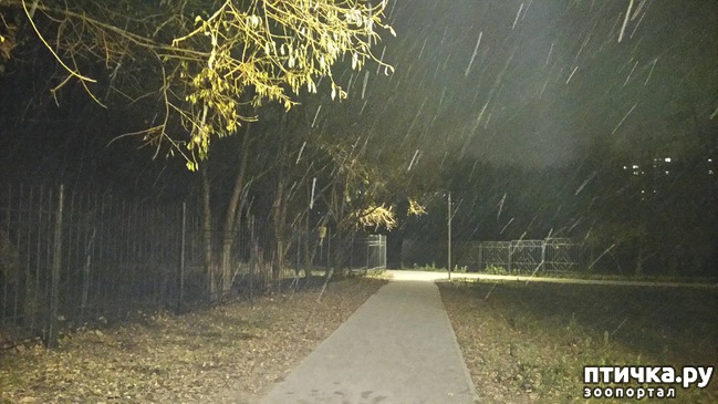 ���� 9: ������� ������.