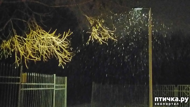 ���� 10: ������� ������.