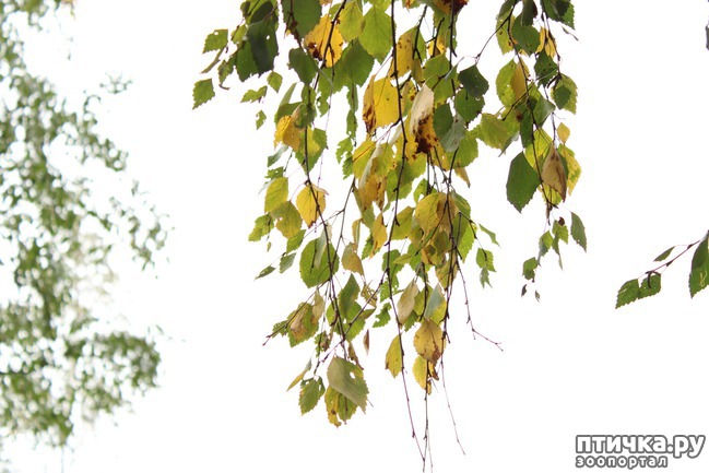 ���� 5: ��������� �����.