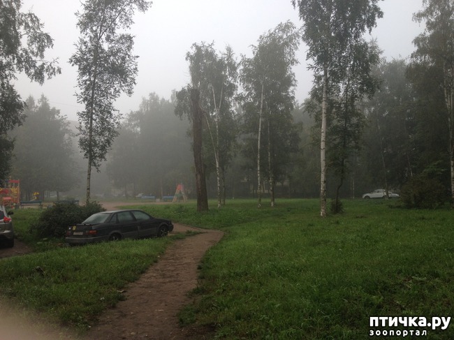 ���� 6: ��������� �����.