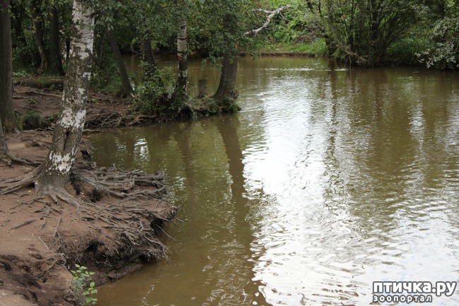 ���� 8: ��������� �����.