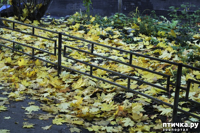 ���� 9: ��������� �����.