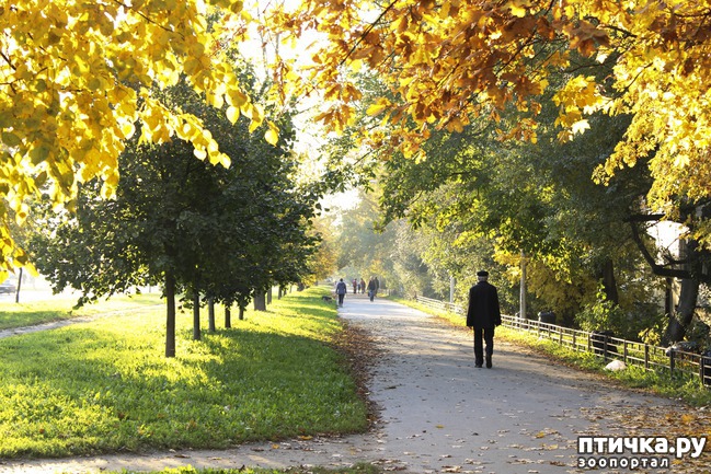 ���� 10: ��������� �����.