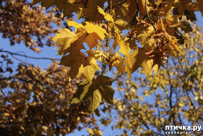 ���� 11: ��������� �����.