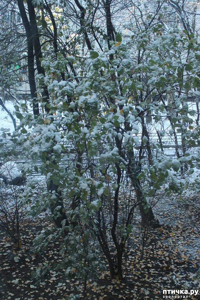 ���� 12: ��������� �����.