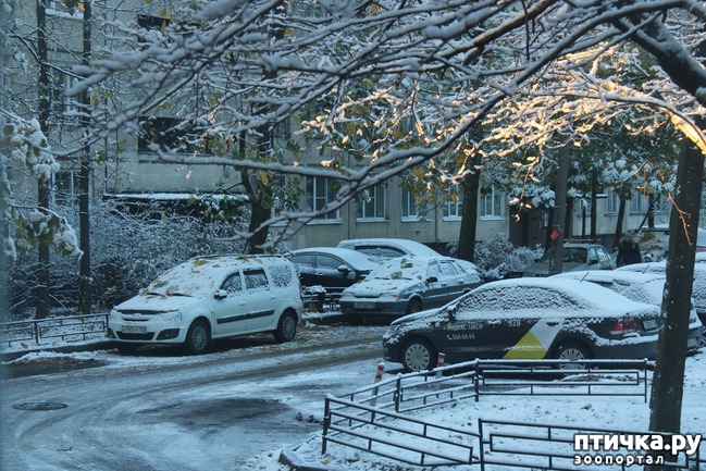 ���� 13: ��������� �����.