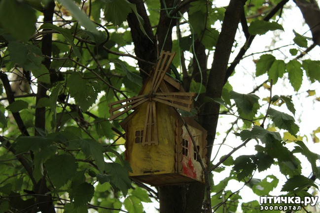 ���� 3: ��������� �����.