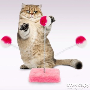 ����: ������� ��� ����� ��� �� ���� ����� ��������)))