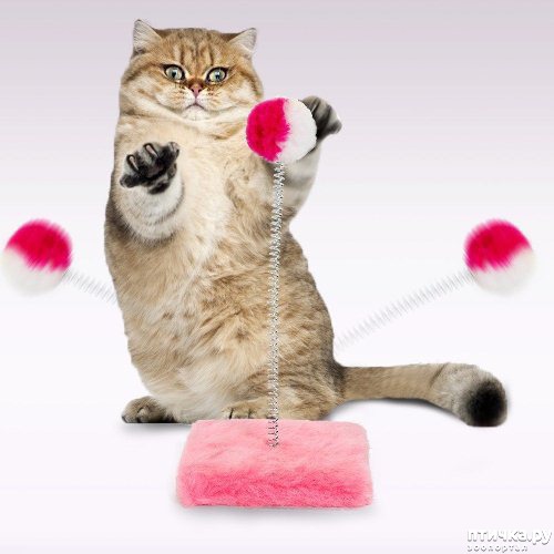 ���� 1: ������� ��� ����� ��� �� ���� ����� ��������)))