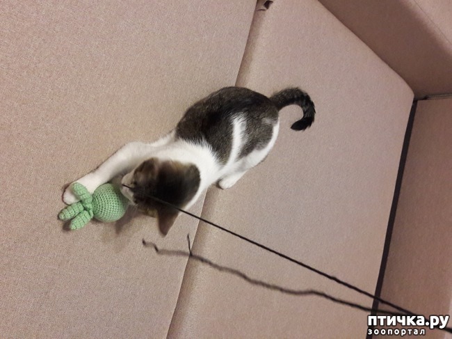 ���� 2: ������� ��� ����� ��� �� ���� ����� ��������)))