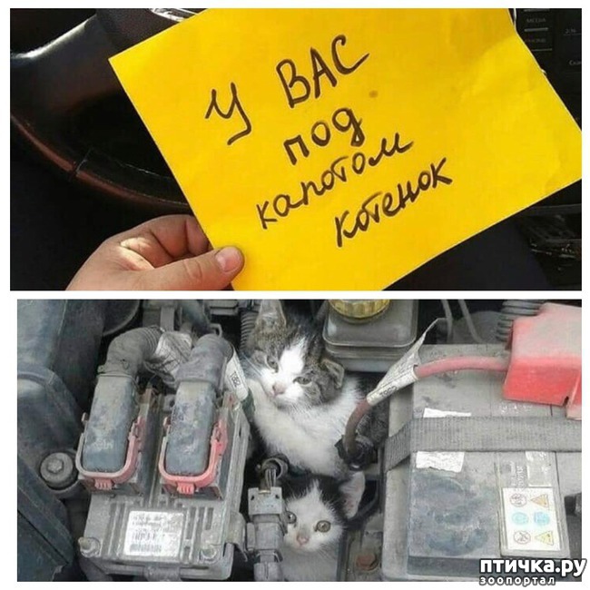 ���� 1: ������ �����������!