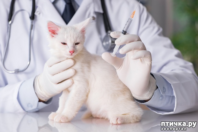 ���� 1: ����� ������ �� ��������� ���������� ����� � �����